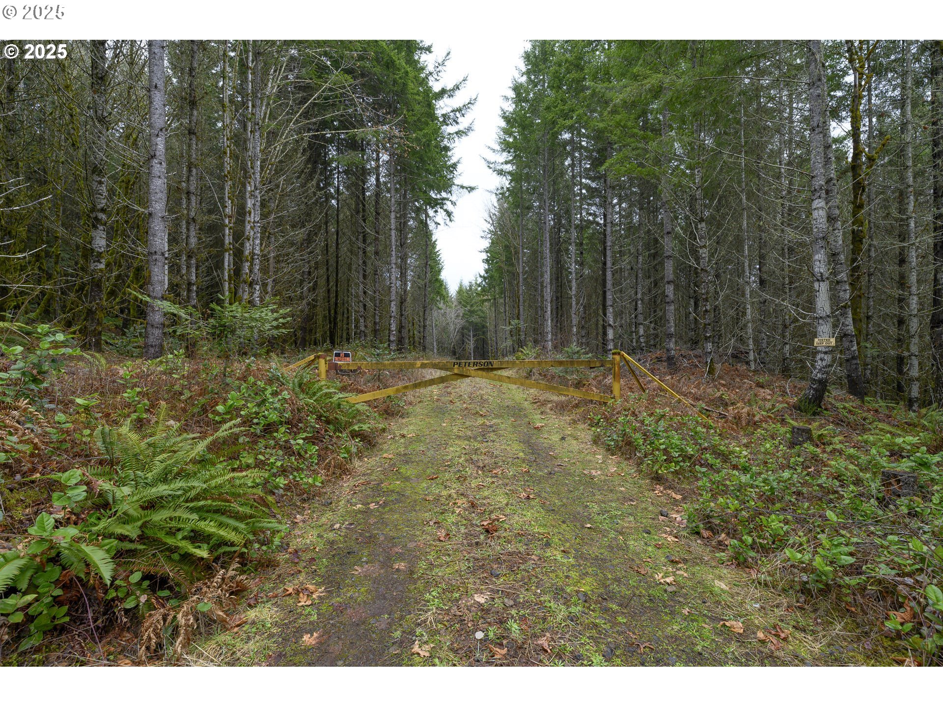 0 Northwest Panther Creek Road Yamhill, OR 97148 - Photo 19 of 28