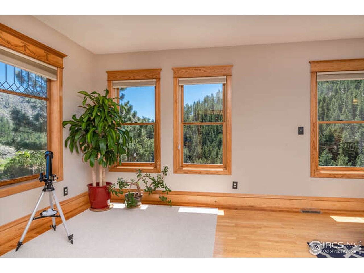 173 Gold Run Road Boulder, CO 80302 - Photo 24 of 40
