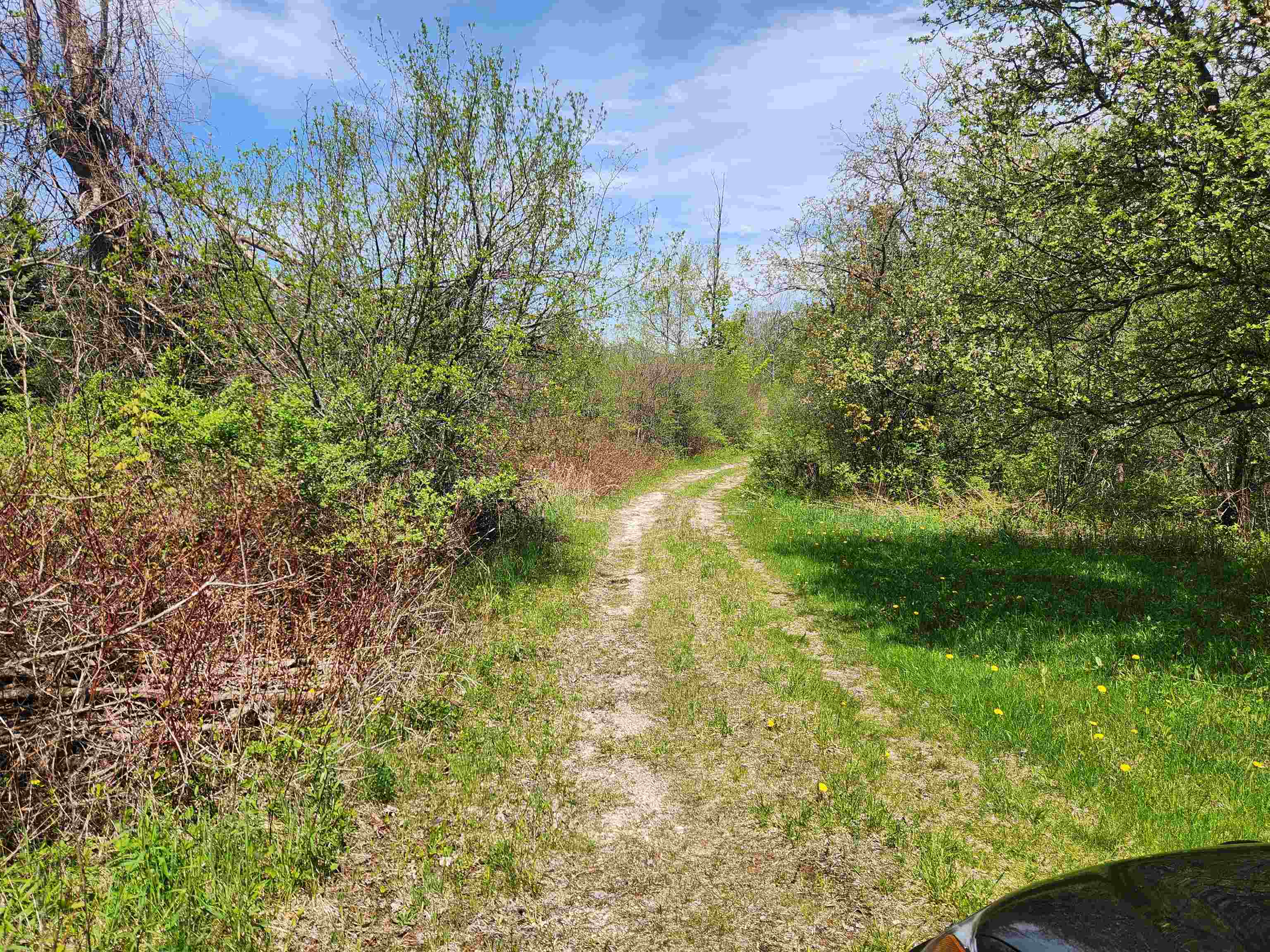 3517 Colvin Hill Road Danby, VT 05739 - Photo 22 of 25