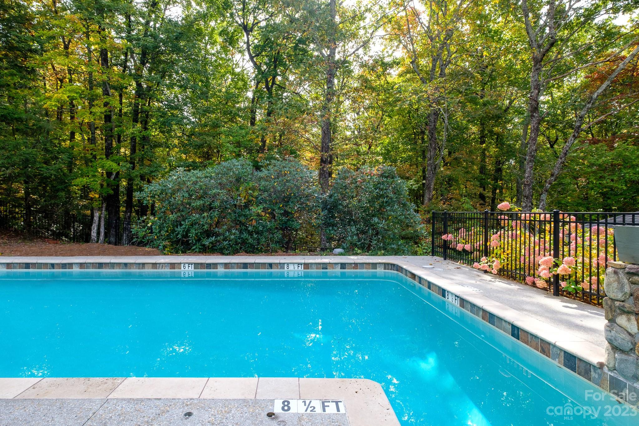 122 Columbine Way Cleveland, SC 29635 - Photo 25 of 28 a view of a swimming pool with a yard