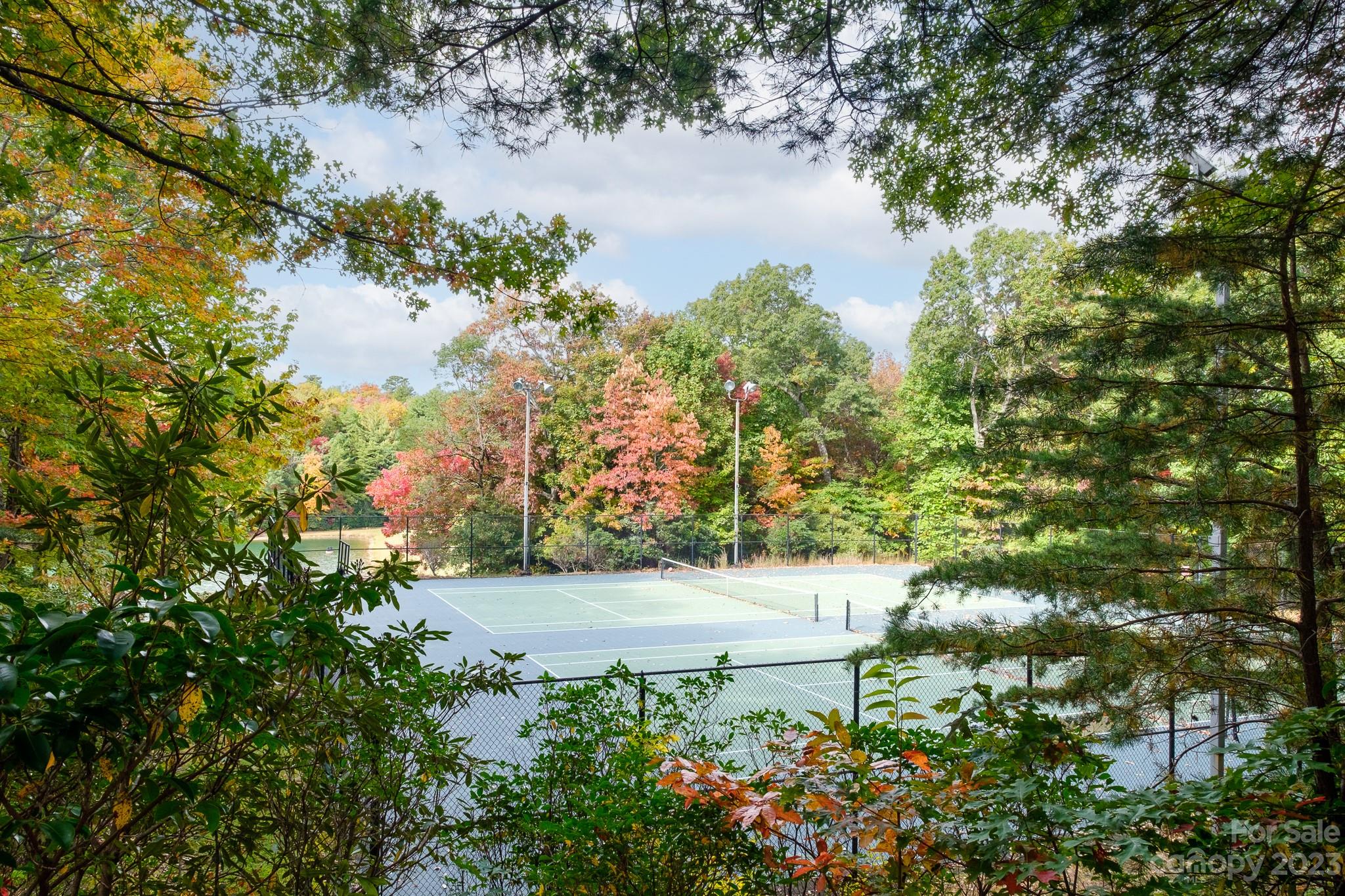 122 Columbine Way Cleveland, SC 29635 - Photo 26 of 28 a view of a garden with a lake