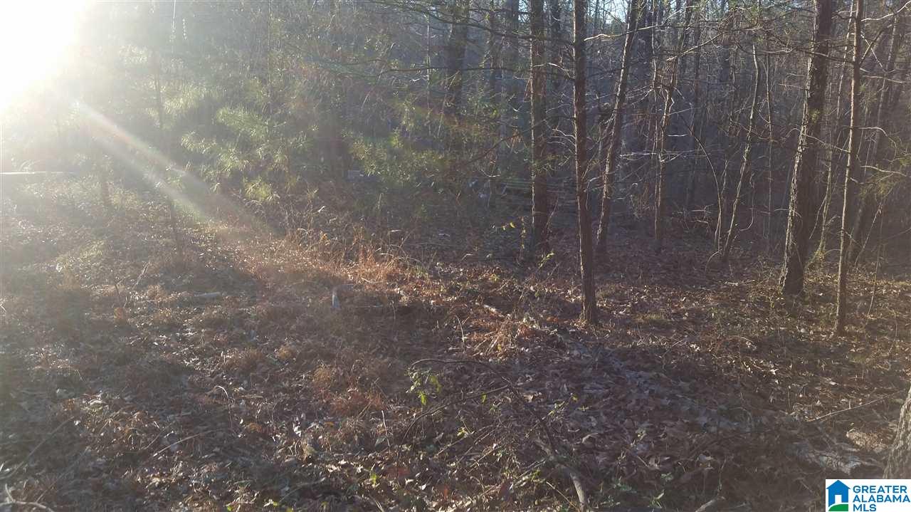 2244 Morris Majestic Road, Unit LOT 5 Morris, AL 35116 - Photo 10 of 10