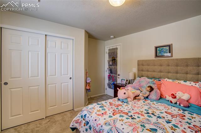 12118 Rio Secco Road Peyton, CO 80831 - Photo 22 of 34 Additional view of main floor bedroom 2.