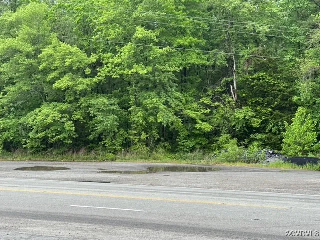 a view of a yard from a window