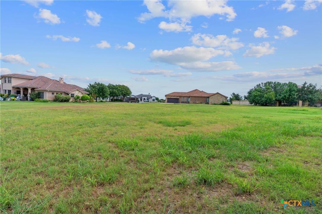 103 Water Stone Cove Georgetown, TX 78628 - Photo 4 of 14 a view of a big yard with plants and large trees