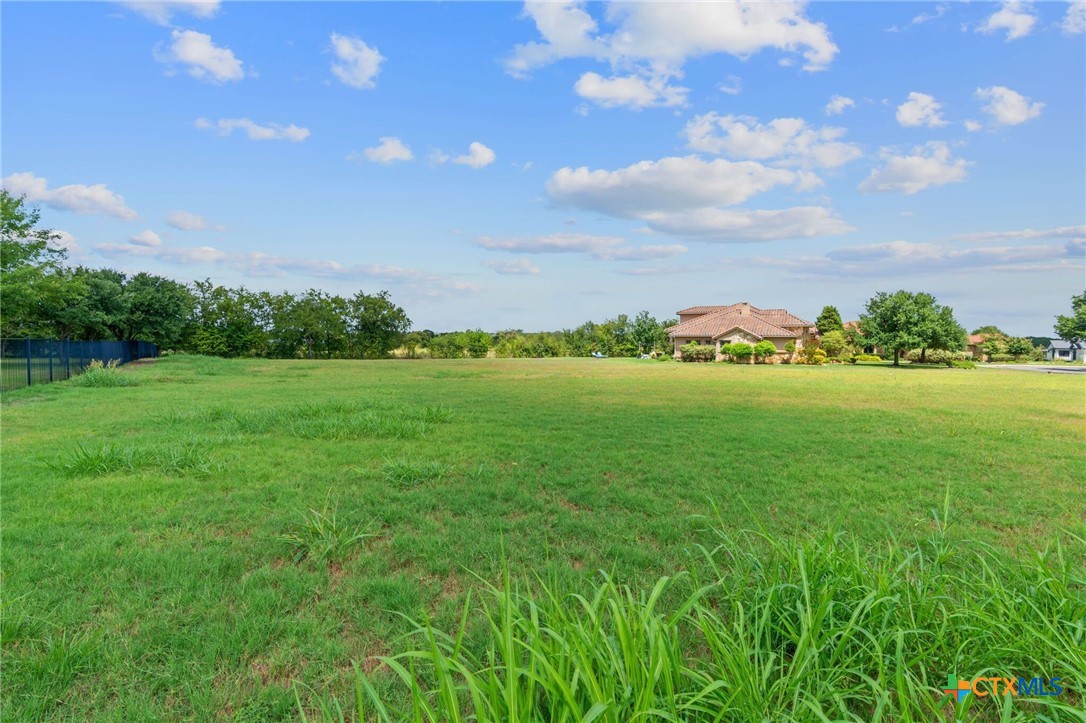 103 Water Stone Cove Georgetown, TX 78628 - Photo 5 of 14 a view of a grassy field with trees in the background