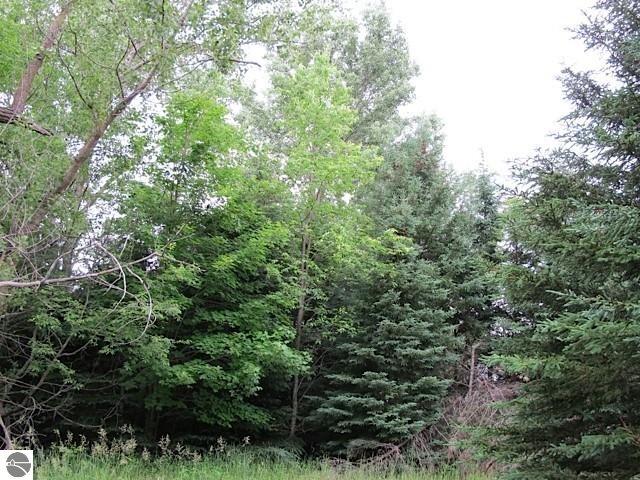 429 East Cemetary Road Maple City, MI 49664 - Photo 25 of 25 1787040-24.JPG