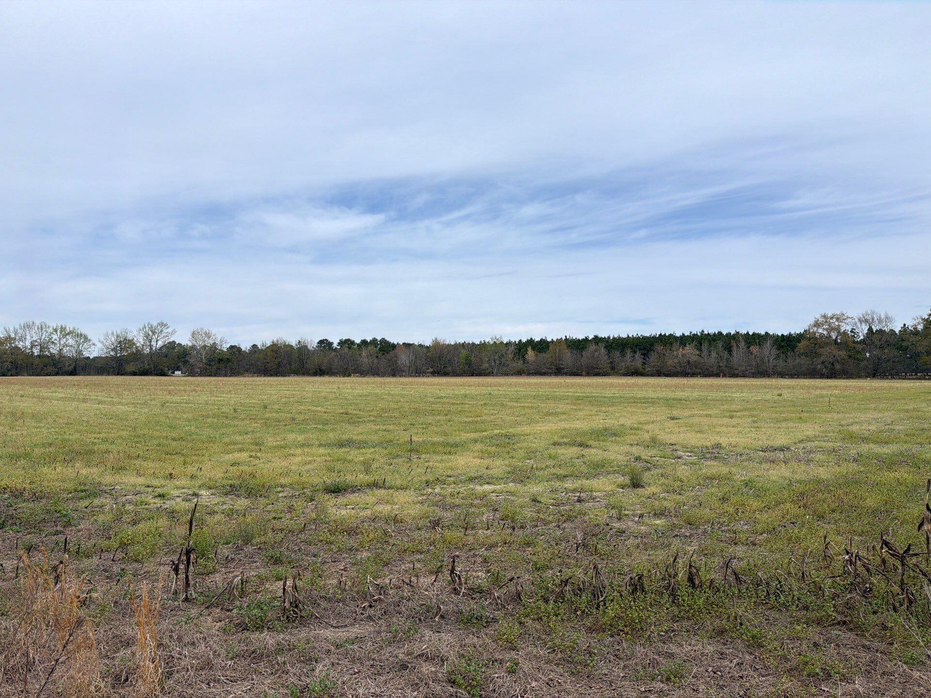 1 Judson Road, Unit MTA 1 Dillon, SC 29536 - Photo 17 of 28
