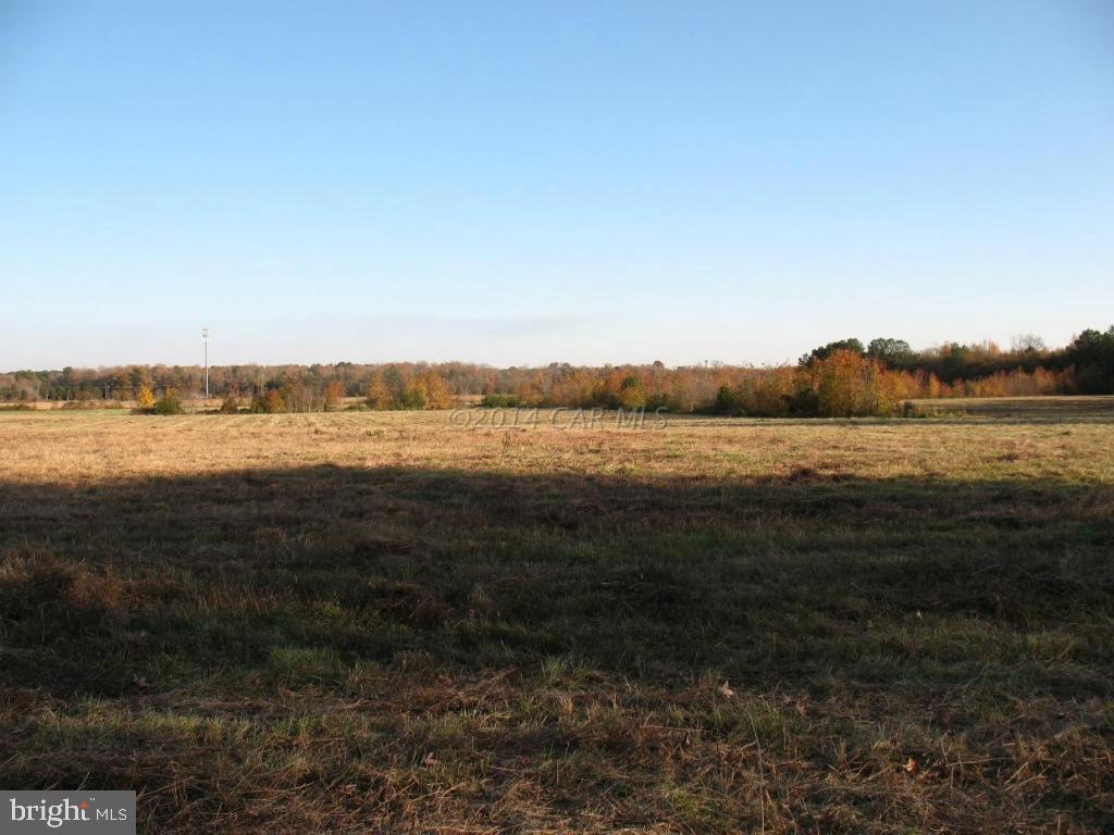 0 Shavox Road Parsonsburg, MD 21849 - Photo 6 of 8 Gallery Image 6