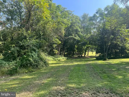 a view of a park with large trees
