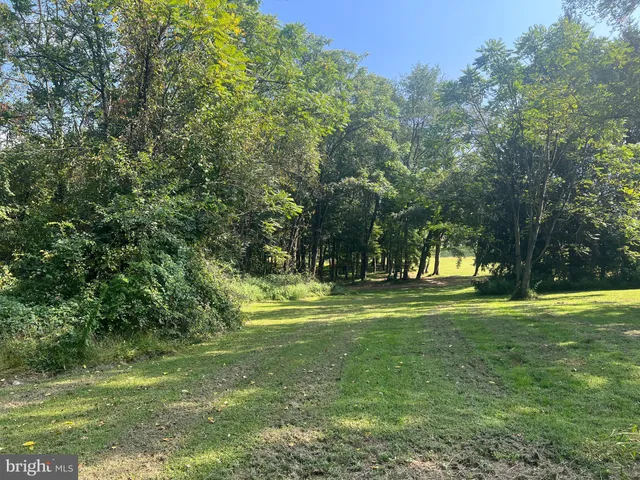 a view of a park with large trees