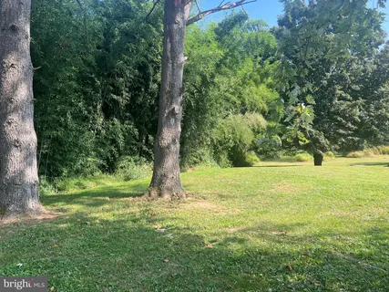 a view of a yard with a tree