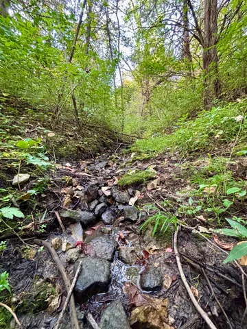a view of an ocean and beach