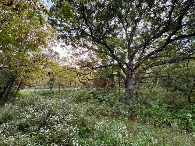 a view of a bathroom