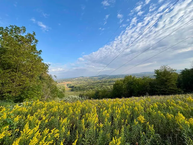 an aerial view of a residential houses with outdoor space