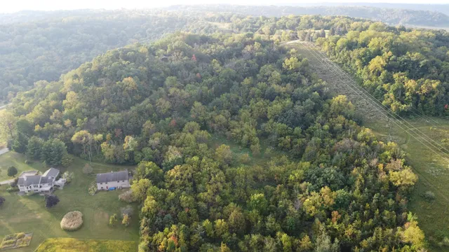 an aerial view of residential houses with outdoor space and trees