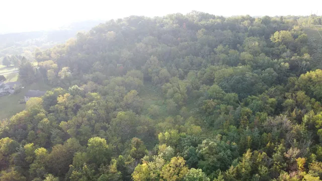 an aerial view of residential houses with outdoor space and trees