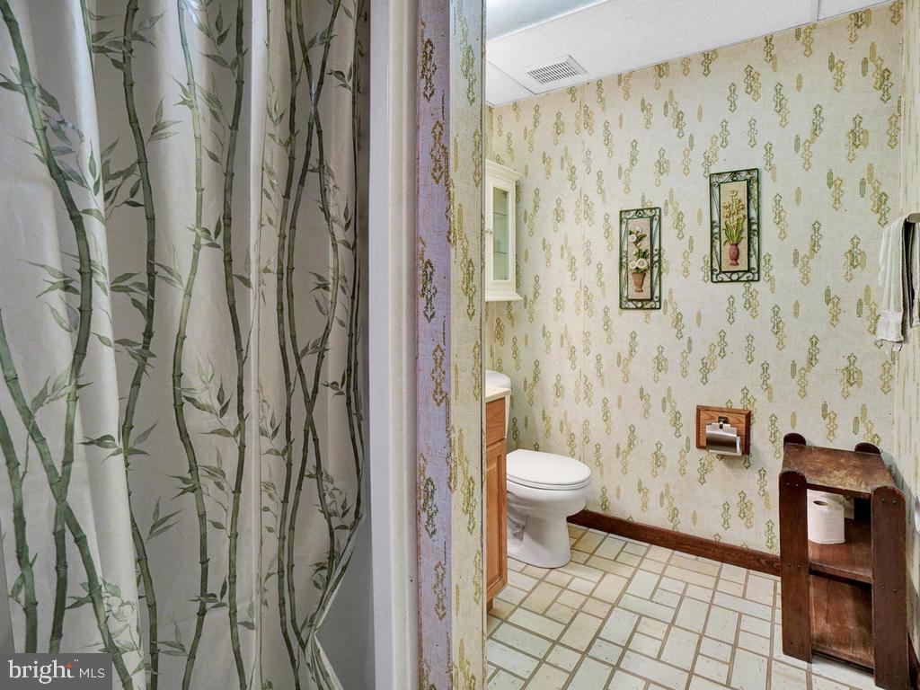 3608 Kemptown Church Road Monrovia, MD 21770 - Photo 35 of 58 Lower level bathroom