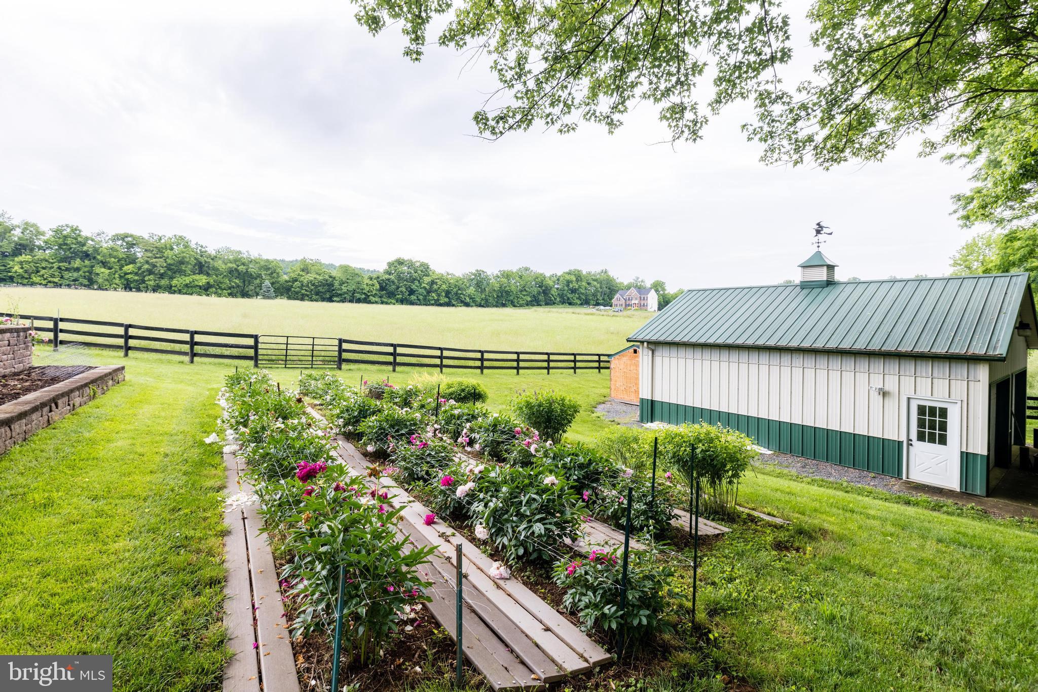 14350 Loyalty Road Leesburg, VA 20176 - Photo 71 of 98 Garden