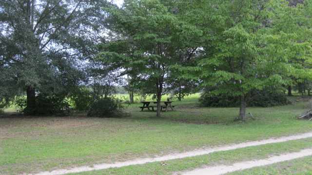 5431 Northeast Hickory Grove Road Pinetta, FL 32350 - Photo 13 of 20 Gallery Image 13