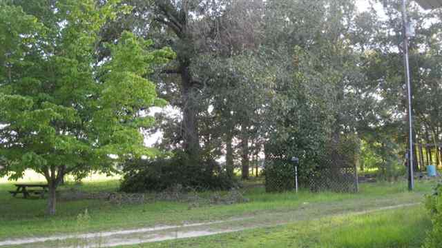 5431 Northeast Hickory Grove Road Pinetta, FL 32350 - Photo 17 of 20 Gallery Image 17
