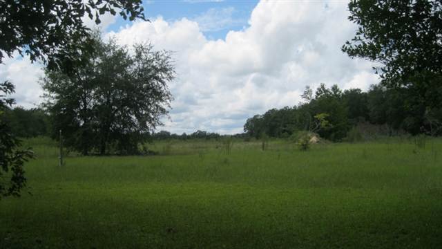 5431 Northeast Hickory Grove Road Pinetta, FL 32350 - Photo 19 of 20 Gallery Image 19