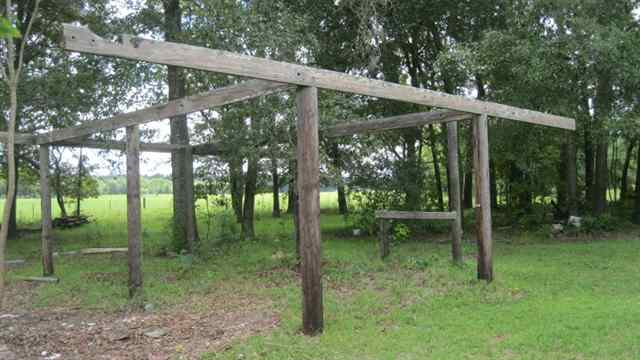 5431 Northeast Hickory Grove Road Pinetta, FL 32350 - Photo 9 of 20 Gallery Image 9