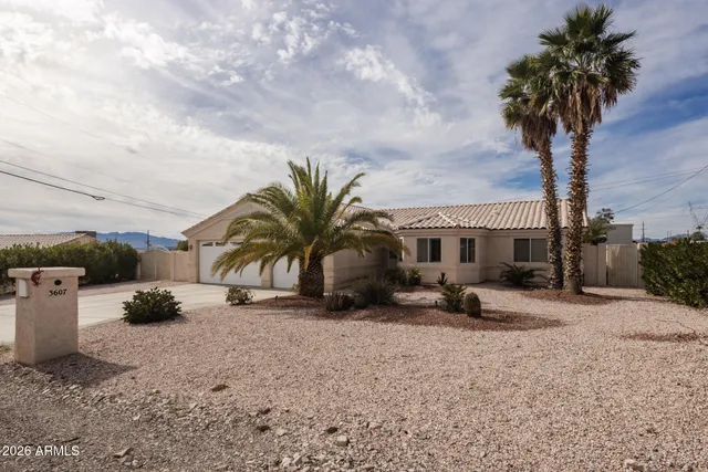 a view of a dry yard with potted plants