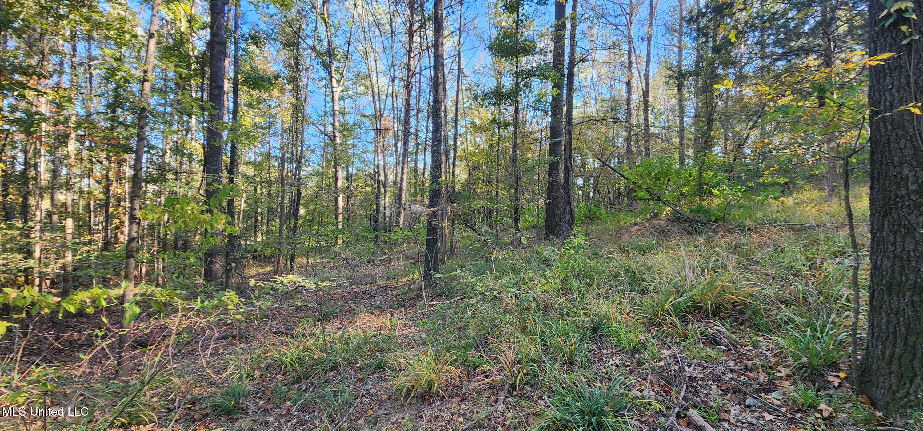 0 View Pointe Drive Clinton, MS 39056 - Photo 11 of 21 Lot 23