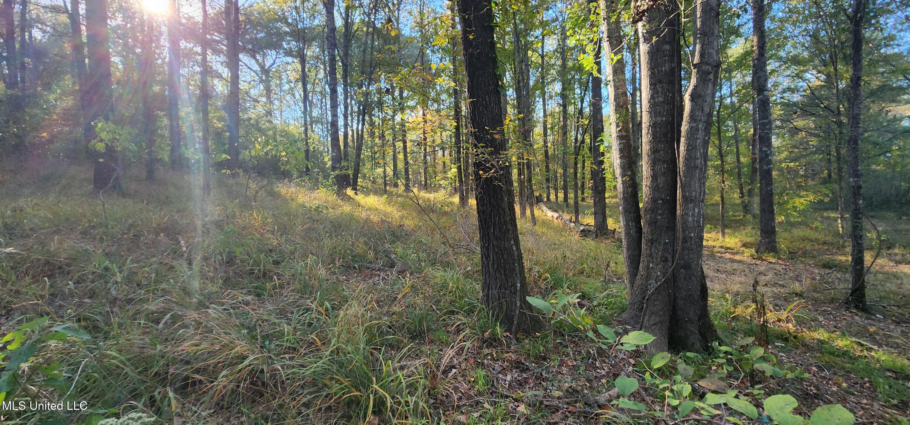 0 View Pointe Drive Clinton, MS 39056 - Photo 12 of 21 Lot 23