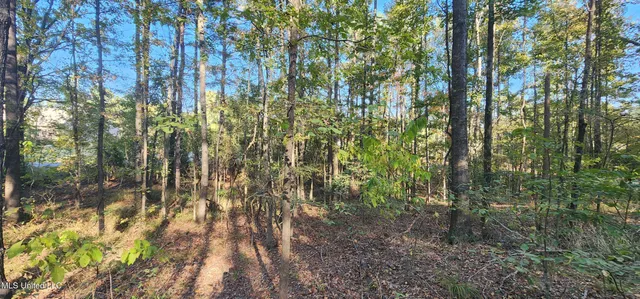 $98,499 | 0 View Pointe Drive, Clinton, MS 39056