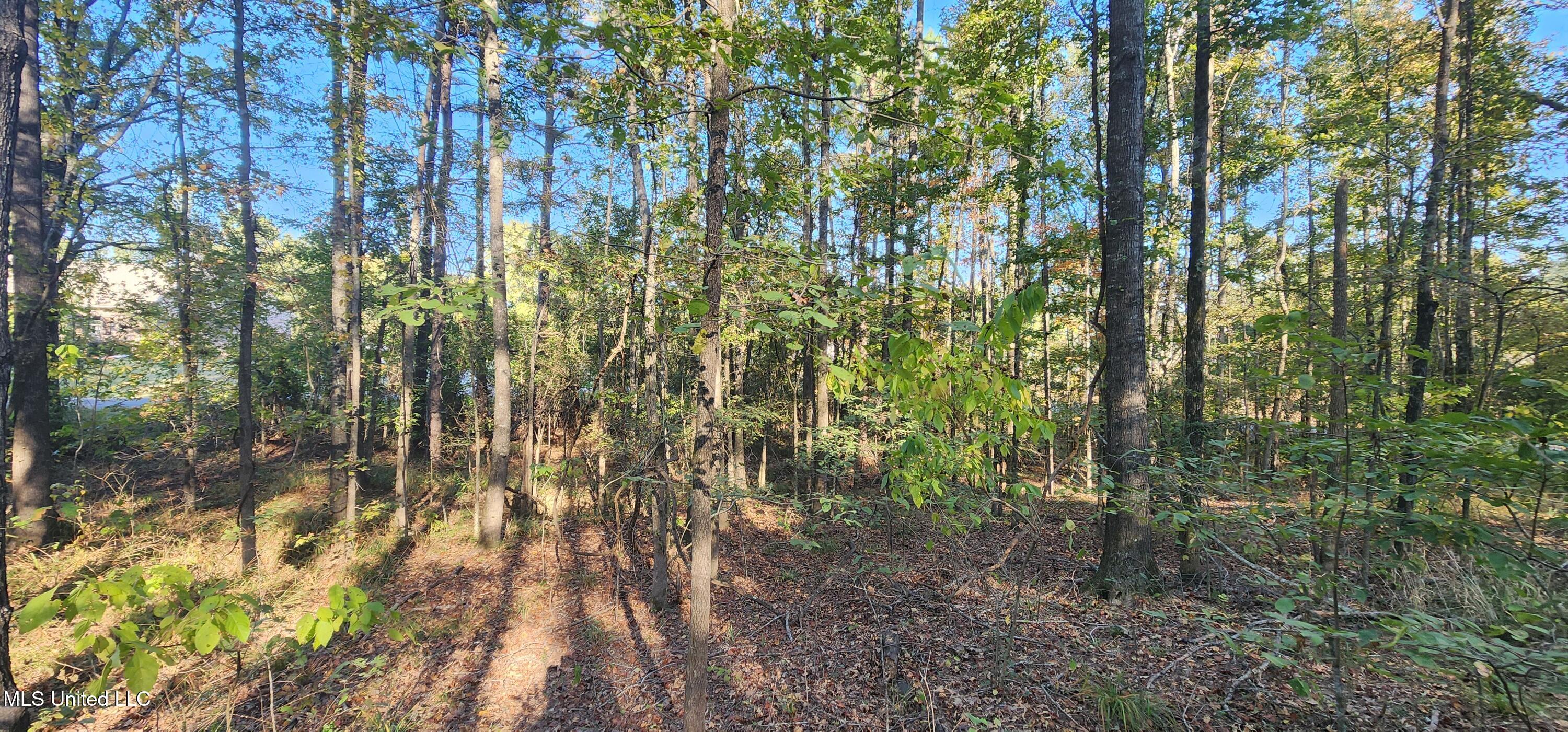 0 View Pointe Drive Clinton, MS 39056 - Photo 13 of 21 Lot 23