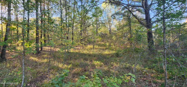 $98,499 | 0 View Pointe Drive, Clinton, MS 39056