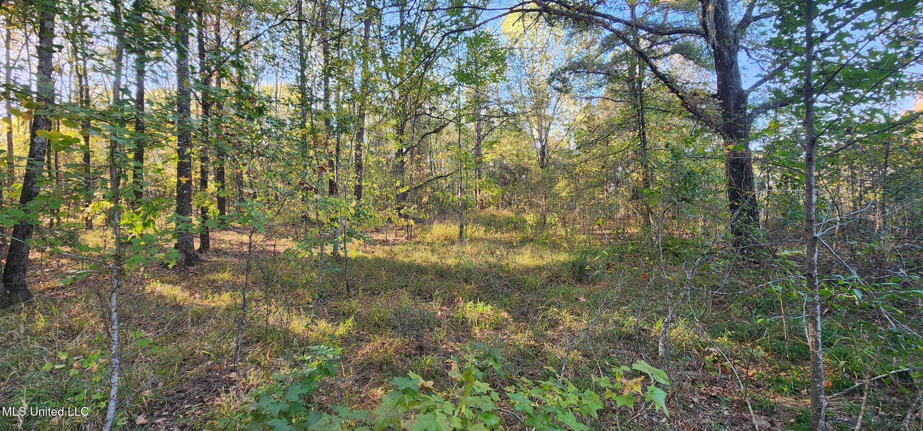 0 View Pointe Drive Clinton, MS 39056 - Photo 14 of 21 Lot 23