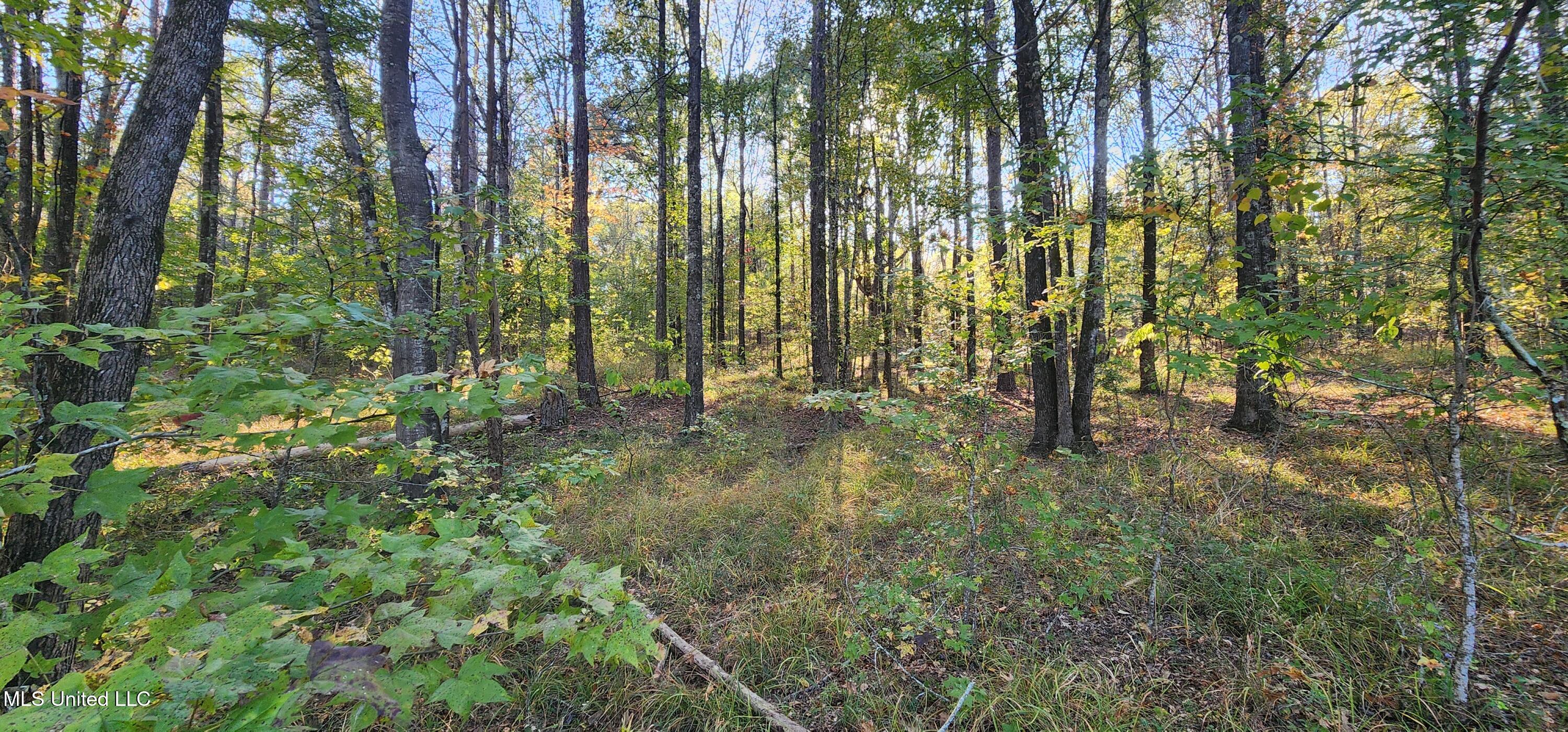 0 View Pointe Drive Clinton, MS 39056 - Photo 15 of 21 Lot 23