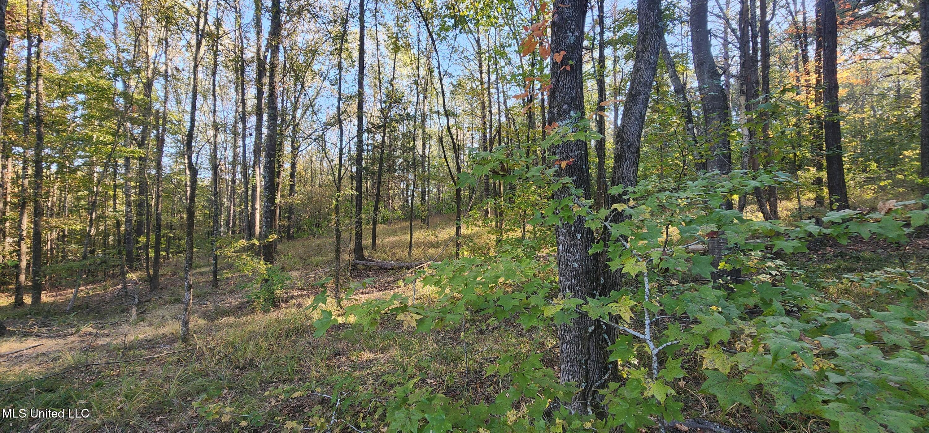 0 View Pointe Drive Clinton, MS 39056 - Photo 16 of 21 Lot 23