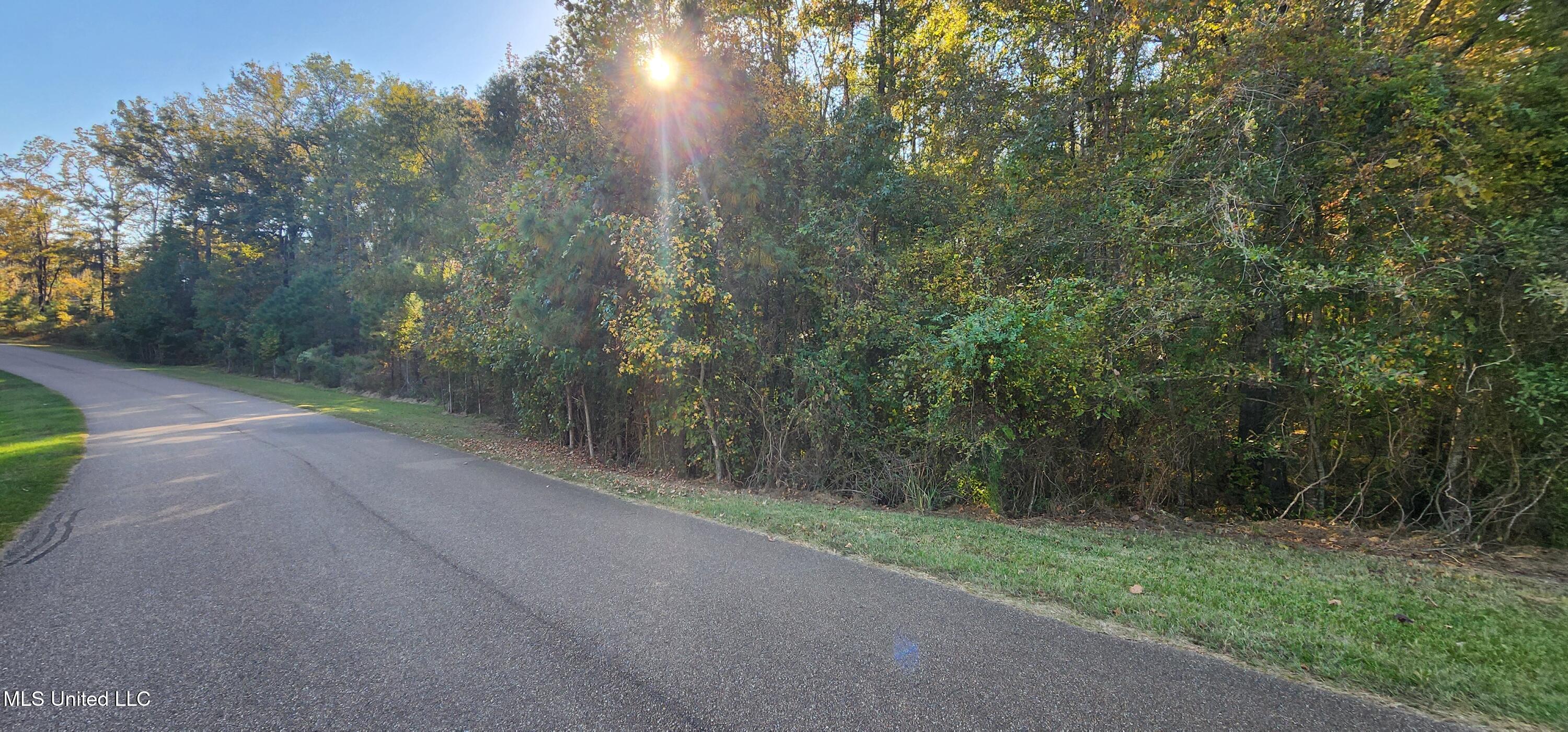 0 View Pointe Drive Clinton, MS 39056 - Photo 17 of 21 Lot 23