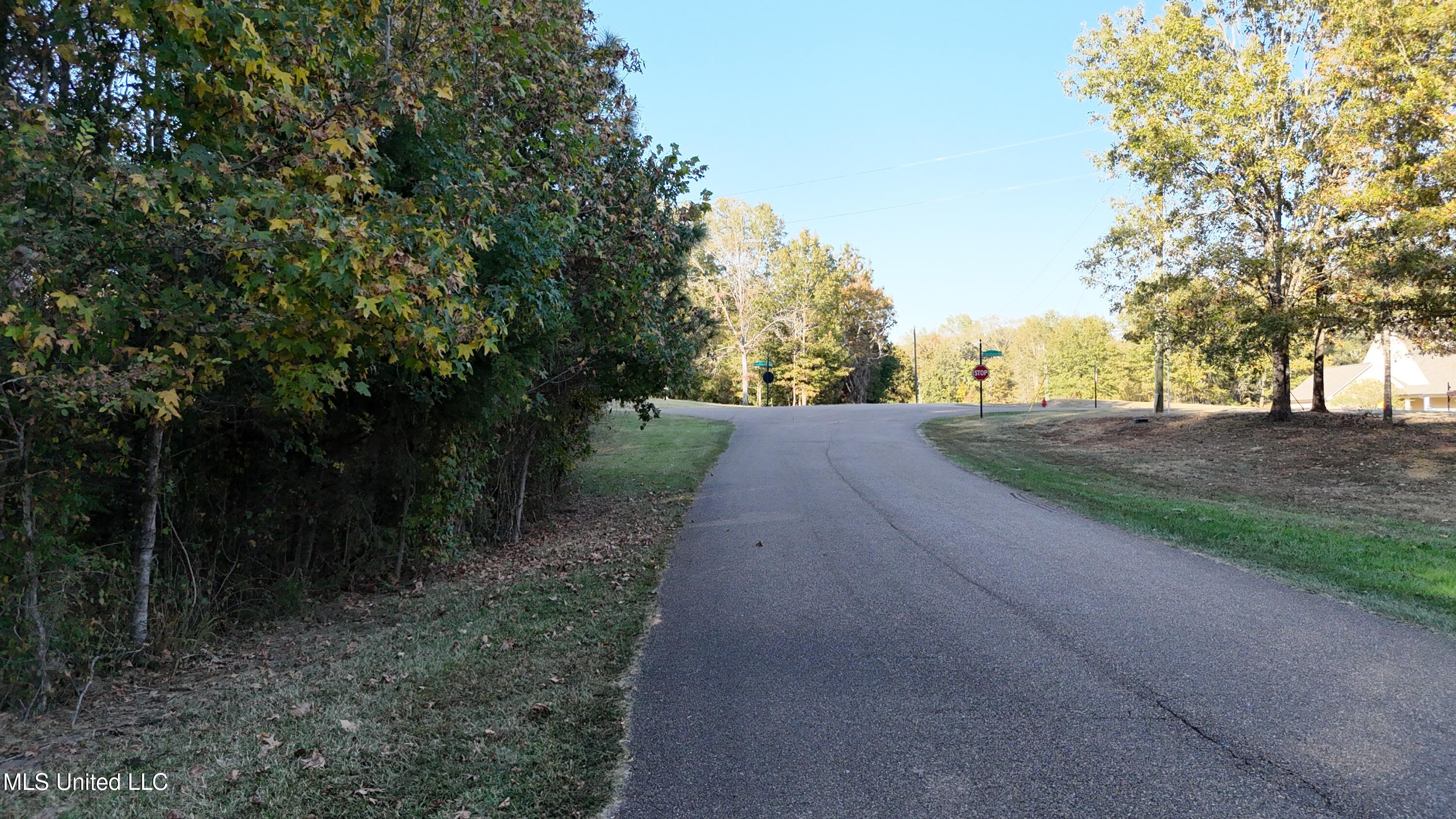 0 View Pointe Drive Clinton, MS 39056 - Photo 2 of 21 Lot 23