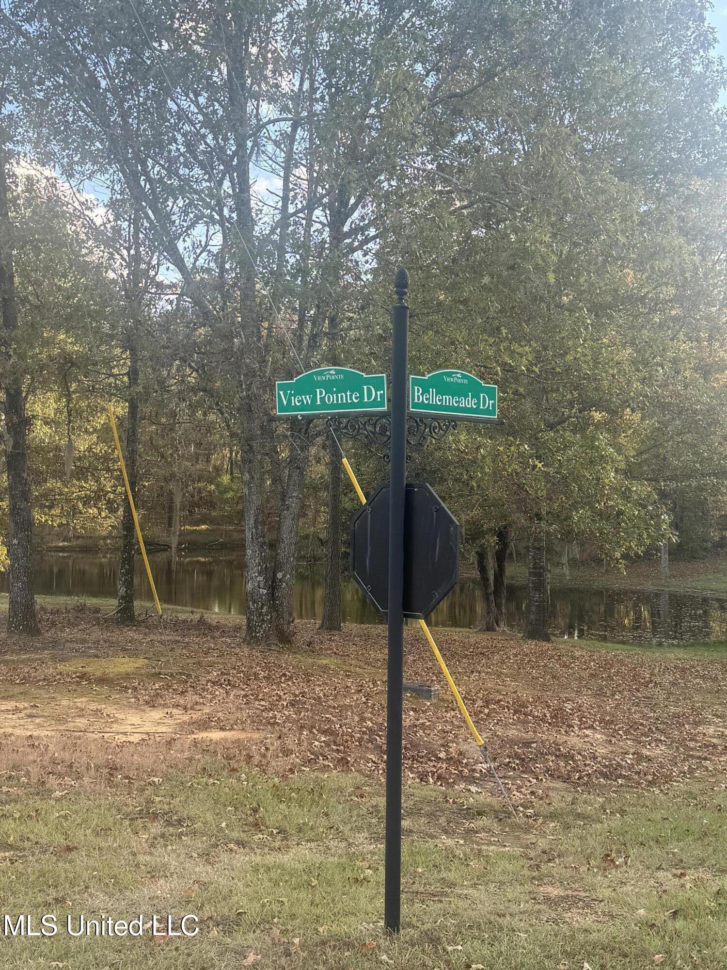 0 View Pointe Drive Clinton, MS 39056 - Photo 21 of 21 IMG_0684