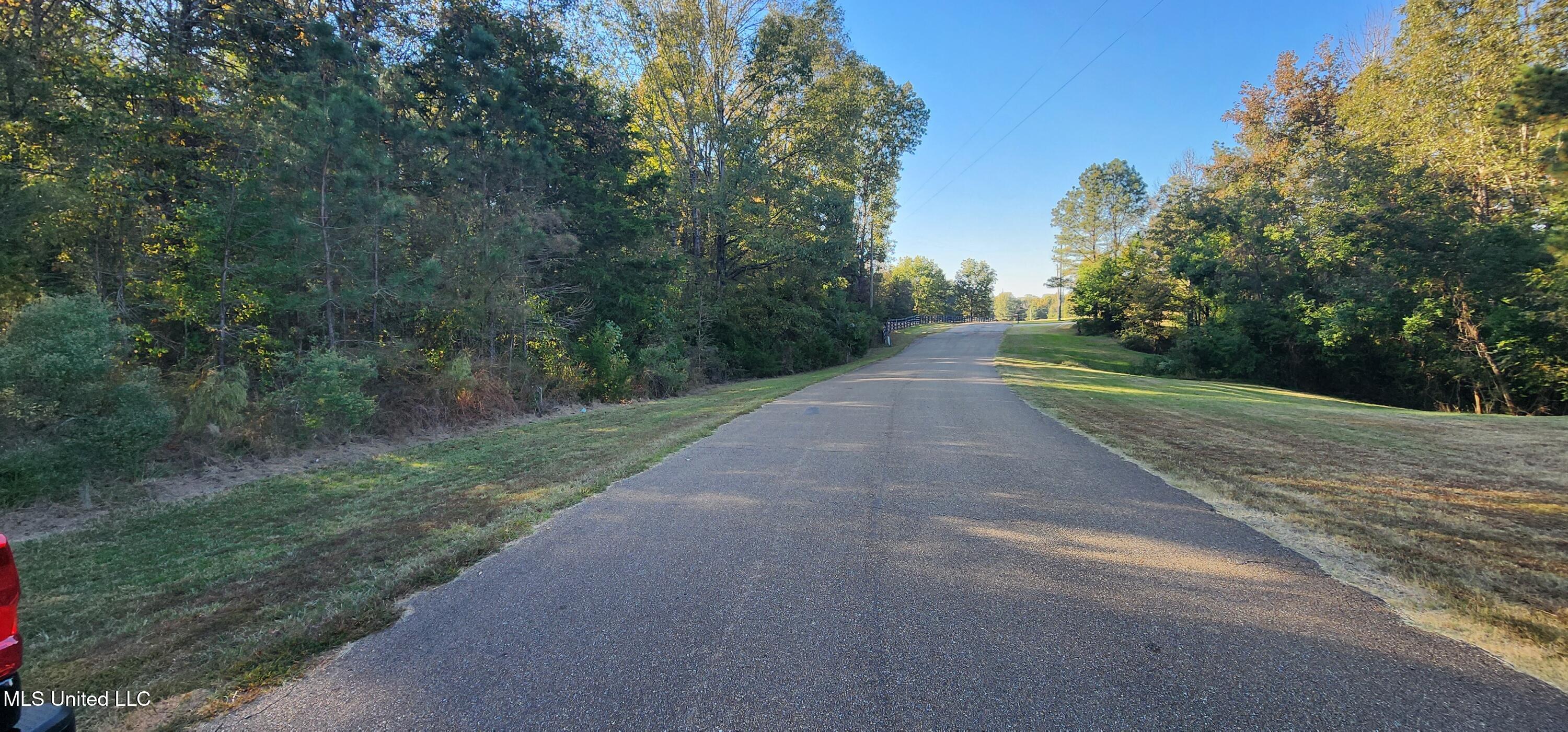 0 View Pointe Drive Clinton, MS 39056 - Photo 3 of 21 Lot 23