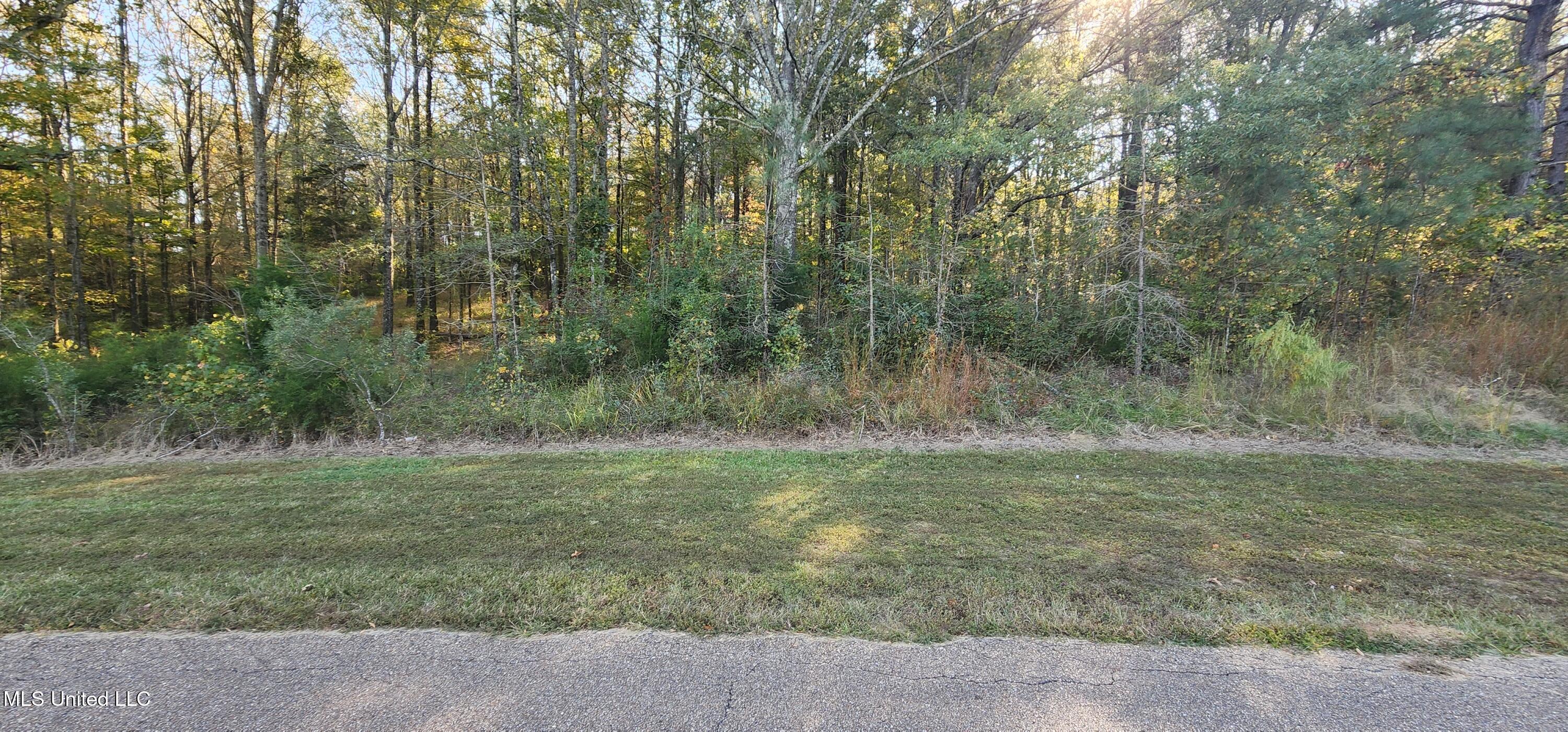 0 View Pointe Drive Clinton, MS 39056 - Photo 4 of 21 Lot 23