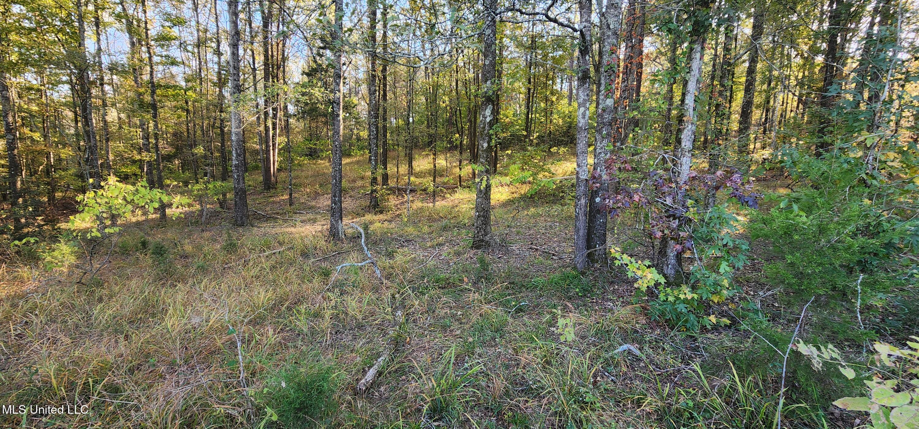 0 View Pointe Drive Clinton, MS 39056 - Photo 5 of 21 Lot 23
