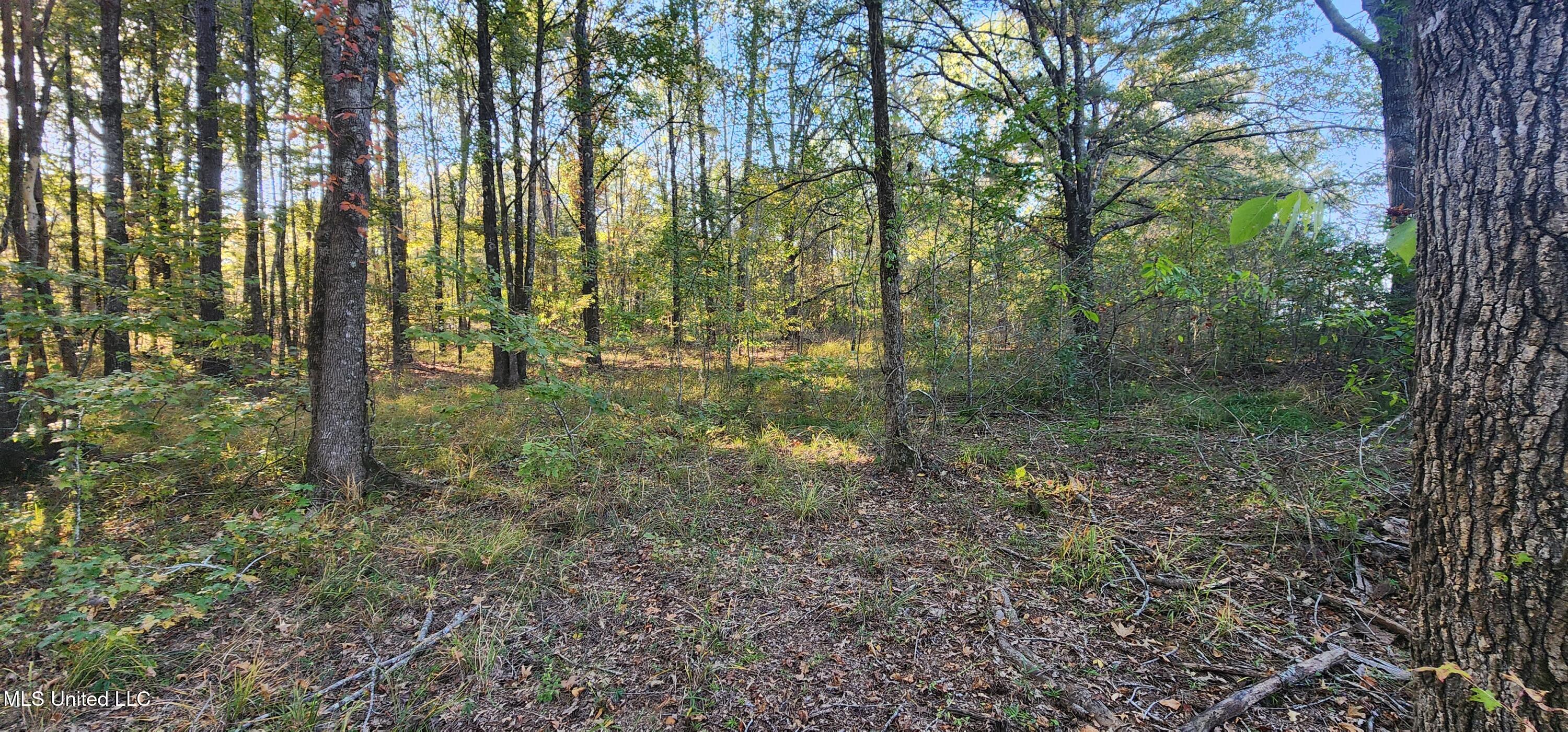 0 View Pointe Drive Clinton, MS 39056 - Photo 6 of 21 Lot 23