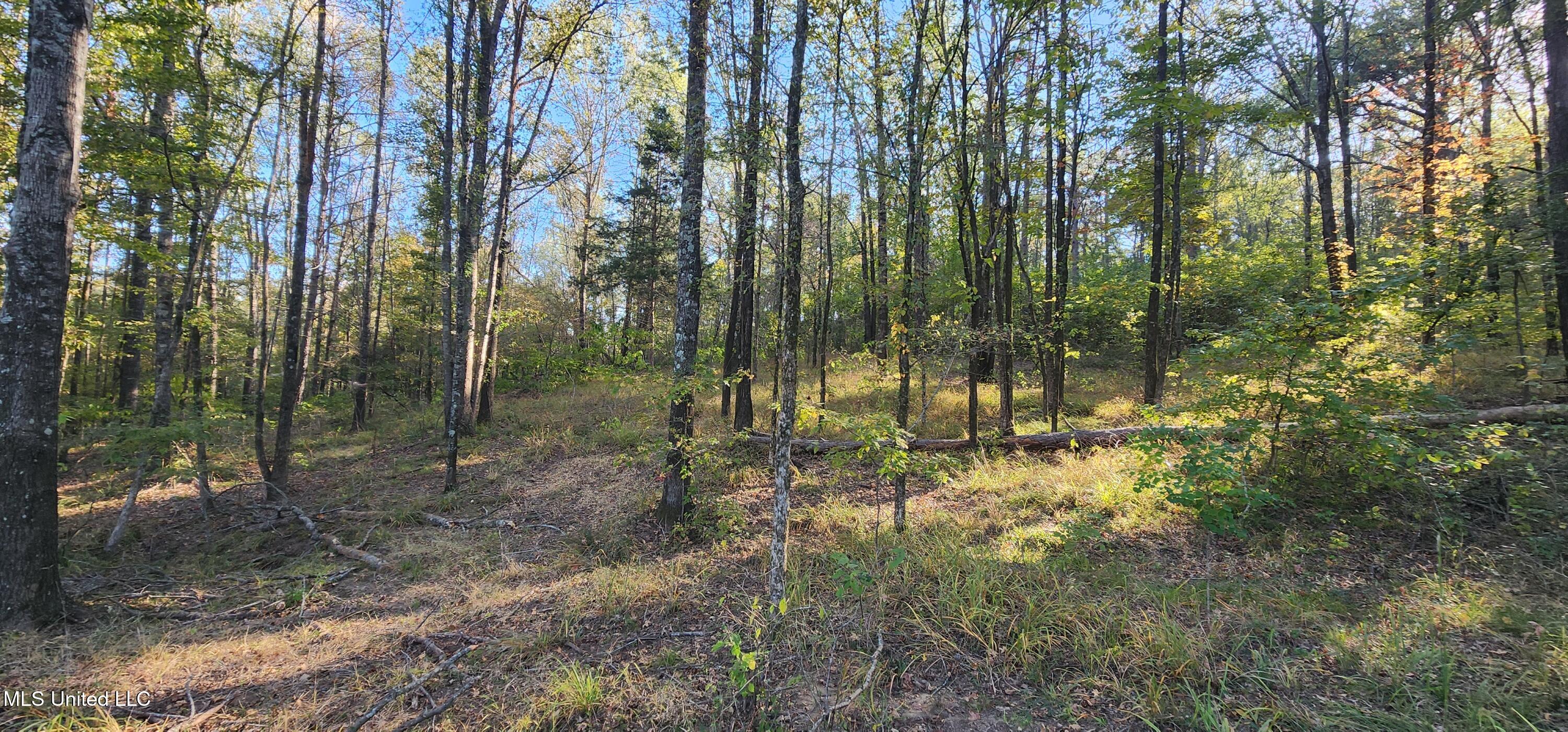 0 View Pointe Drive Clinton, MS 39056 - Photo 8 of 21 Lot 23