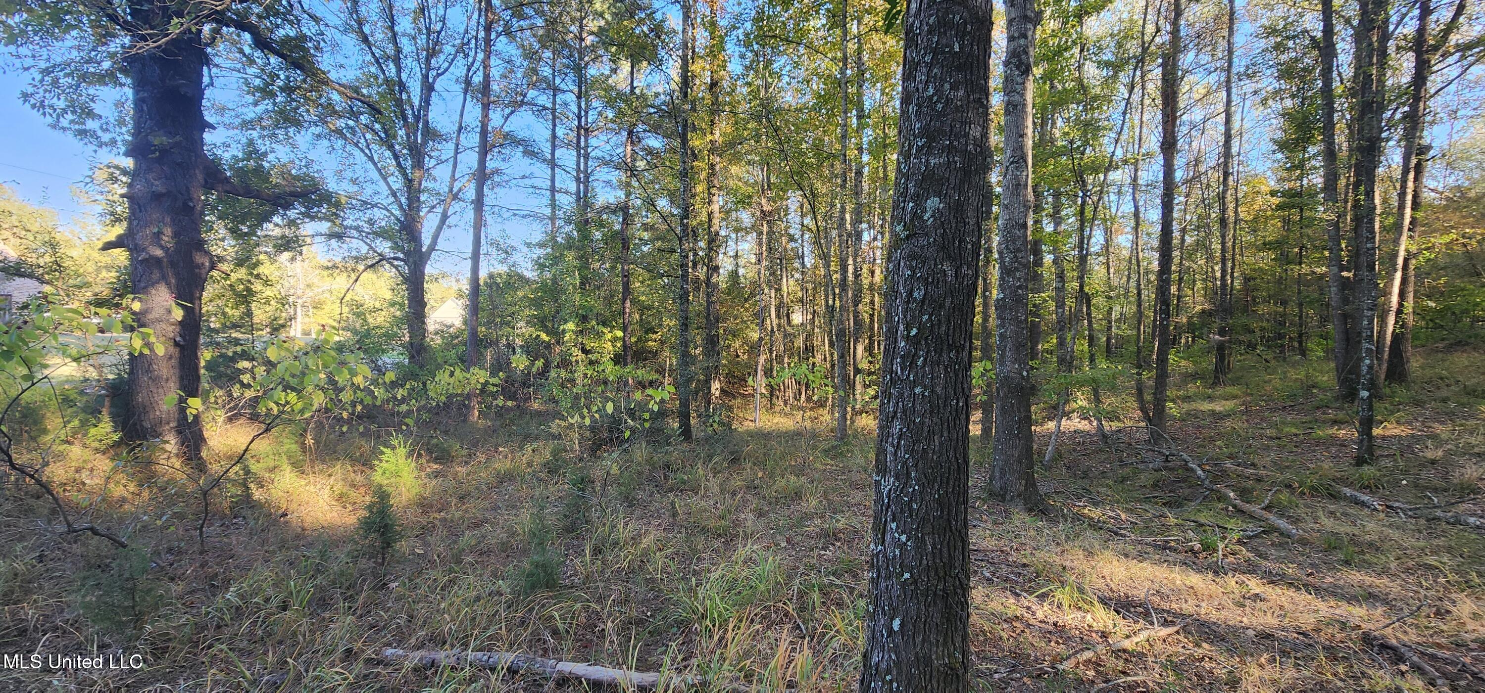 0 View Pointe Drive Clinton, MS 39056 - Photo 9 of 21 Lot 23