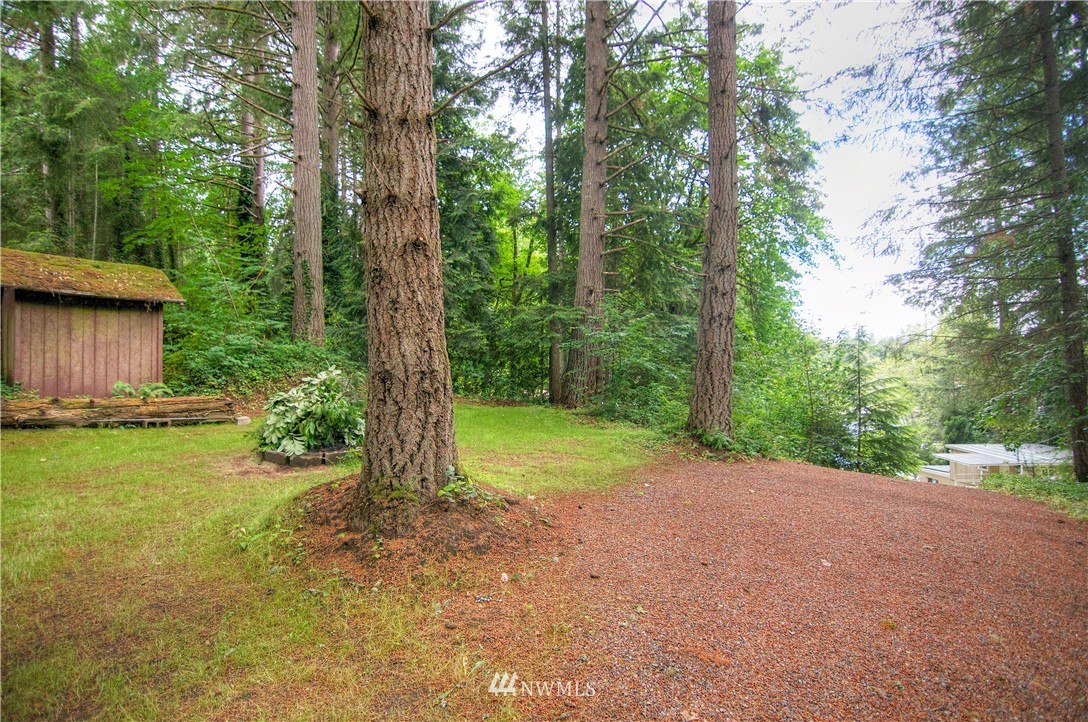 5541 Rehklau Road Southeast Olympia, WA 98513 - Photo 23 of 25 Gallery Image 23
