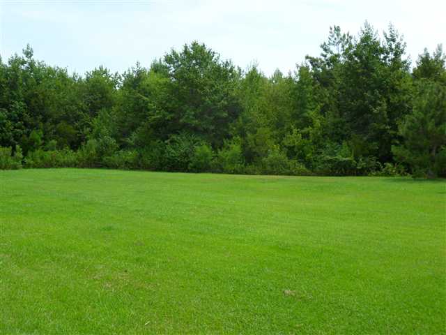 7480 Highway 66 Loris, SC 29569 - Photo 14 of 14 Gallery Image 14