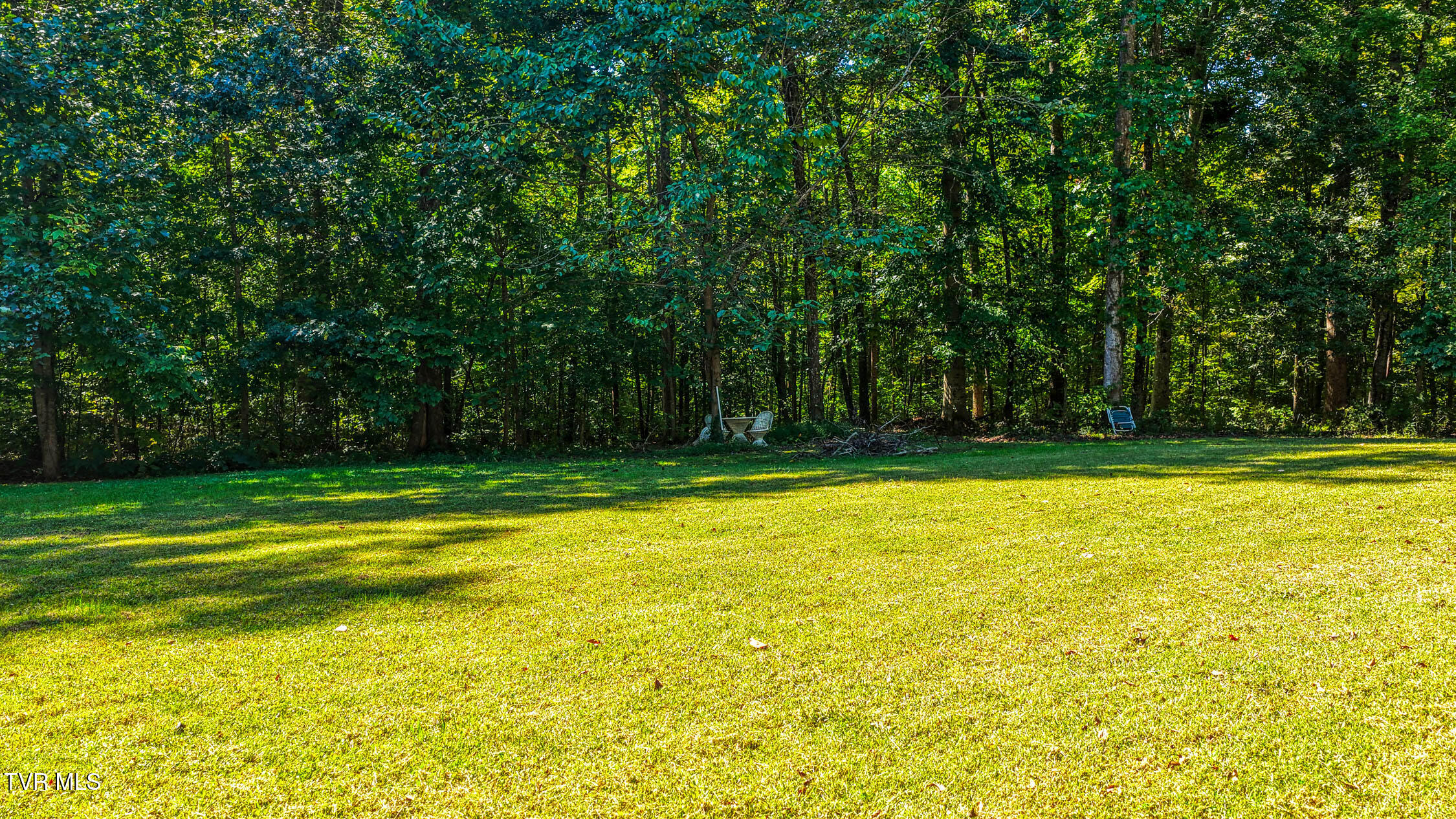 138 Lauderback Road Rogersville, TN 37857 - Photo 39 of 52 138 Lauderback. Rog MLSa (11 of 25)