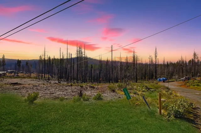 a view of a backyard with palm tree