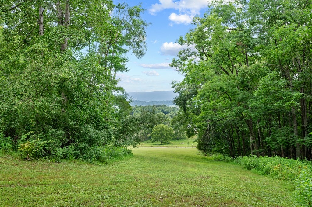 Lot G Springdale Road, Unit G Pearisburg, VA 24134 - Photo 5 of 62 Gallery Image 5